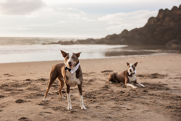 Jillian-Peter-Depoe-Bay-Oregon-Elopement-photos-1