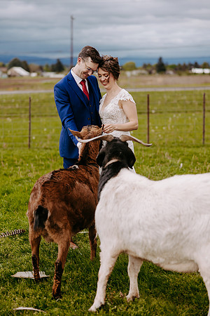 Kern-Anina--Wedding-Photos- (24 of 150)