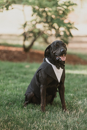 Derrick-Kenzie-Navarra-Gardens-Willamina-Oregon-Wedding-Photos (270 of 436)