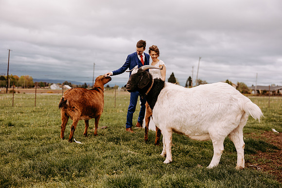 Kern-Anina--Wedding-Photos- (142 of 150)