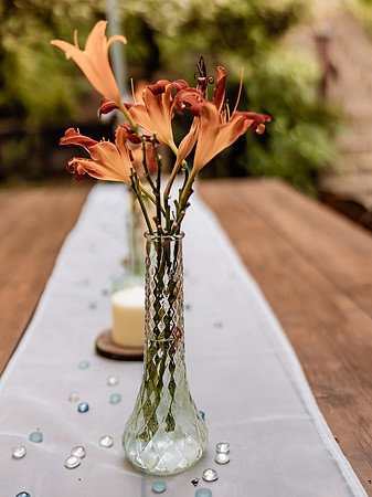 Nick-Melissa-backyard-Oregon-Wedding-2022-32