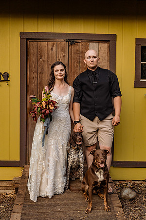 Nick-Melissa-backyard-Oregon-Wedding-2022-127