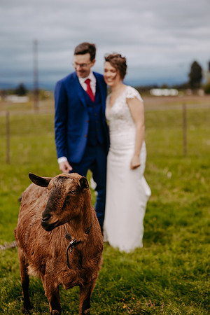 Kern-Anina--Wedding-Photos- (27 of 150)