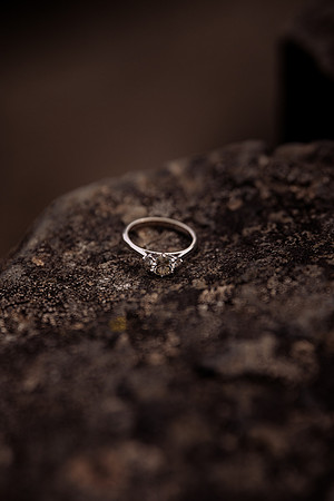 Keenan-lacey-Lucia-Falls-Washington-Engagement (4 of 53)