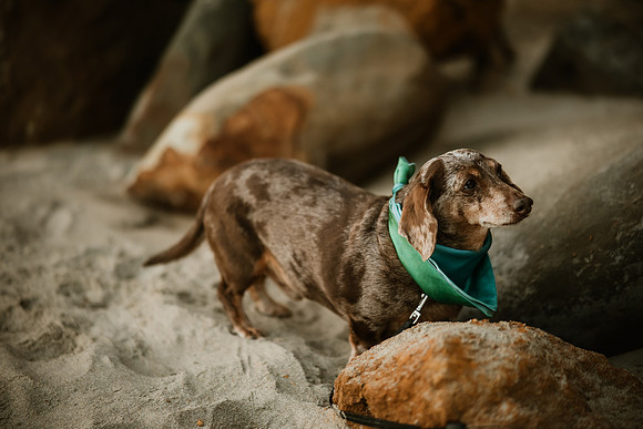 James-Sharon-Cape-Kiwanda-Oregon-Elopement- Photos-9488