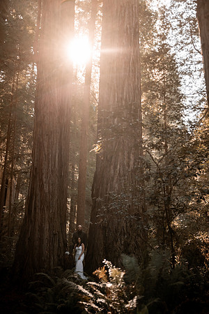 Gray-Ericka-Brookings-elopement-118