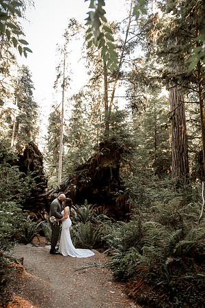 Gray-Ericka-Brookings-elopement-50