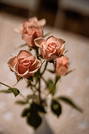 Graeson-Helen-Neskowin-Elopement-Photos-9664