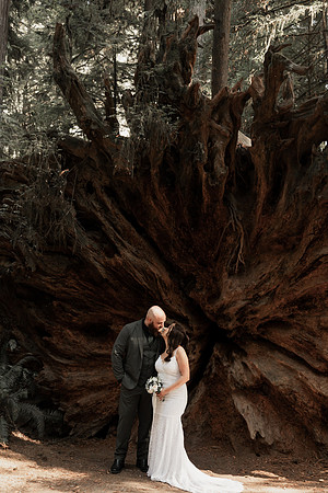 Gray-Ericka-Brookings-elopement-49