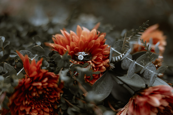 Chase-Beca-Kingston-House-Wedding-Photos-3