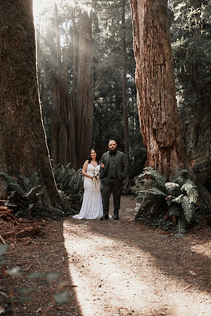 Gray-Ericka-Brookings-elopement-94