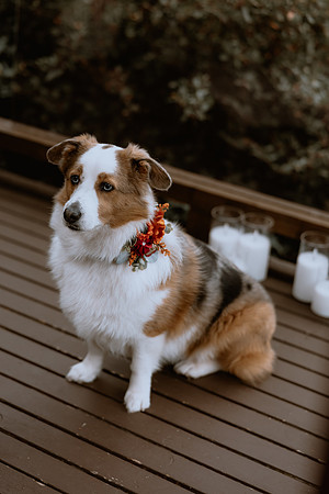 Chase-Beca-Kingston-House-Wedding-Photos-40