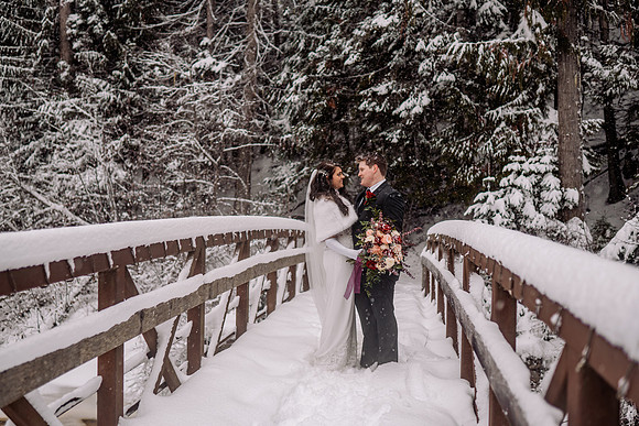 Tyler-Brittani-Lake-Priest-Idaho-Winter-Snow-Wedding-2021-03573