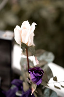 Steven-Jenna-Pioneer-Church-Oregon-Weddin-Photos-4