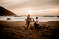 Dave-Trisha-Surprise-Proposal-Fogarty-Creek-Lincoln-City-Oregon-Photos-1307