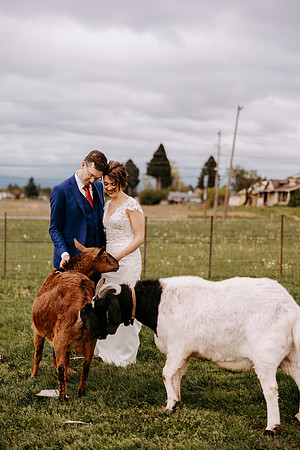 Kern-Anina--Wedding-Photos- (137 of 150)