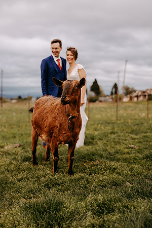Kern-Anina--Wedding-Photos- (141 of 150)