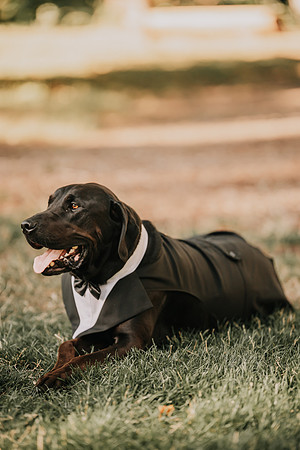 Derek-MacKenzie-Navarra-Gardens-Wedding-Oredon-Photos (160 of 177)