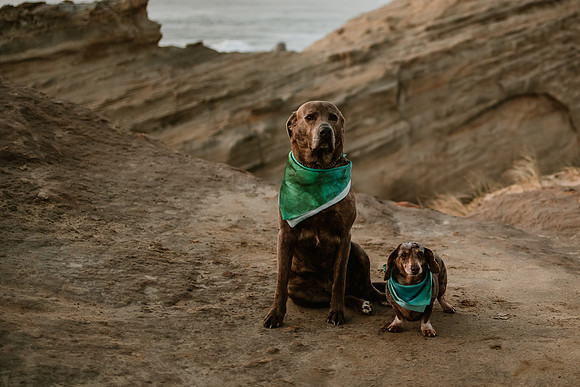 James-Sharon-Cape-Kiwanda-Oregon-Elopement- Photos-9599