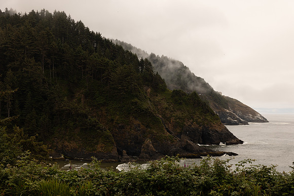 John-Patty-Heceta-Lighthouse-Yachats-Oregon-Elopement-Photos (7 of 155)