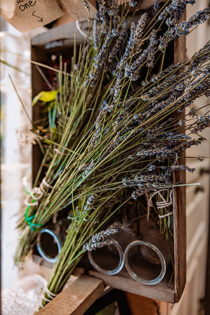 Taylor-Kim-Wedding-Lavender-Owl-Farm-Canby-Oregon-9484